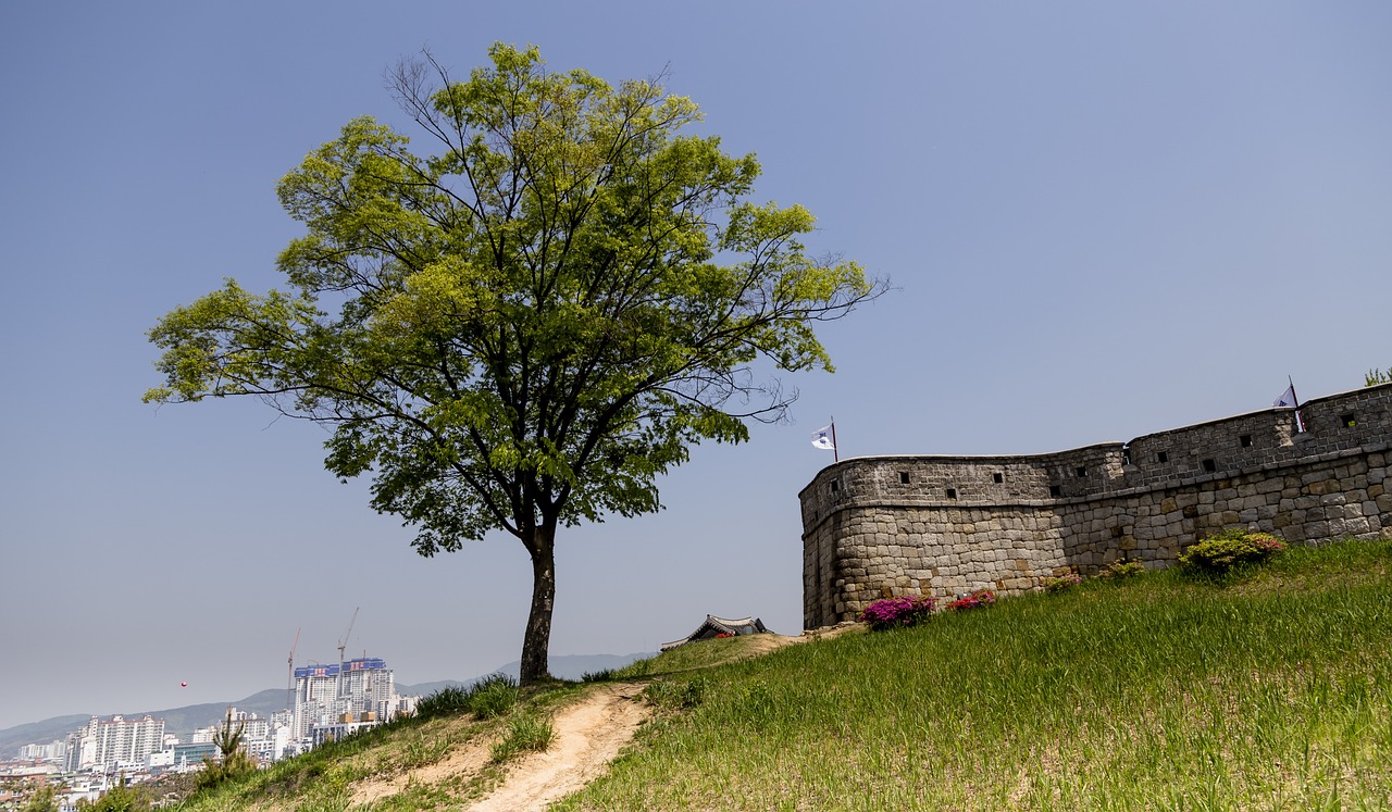 Exploring the Role of Cultural Heritage in Sustainable Development